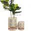 New Design Wicker Planter Basket Seagrass Plant Stand Straw Planter Storage Basket Plant Holder Wholesale