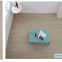 Wood grain vinyl floor SPC floor plastic back dry plastic flooring stone plastic sheet flooring Foshan Nanhai wholesale