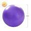 Hot Sale Household  Exercises Rolling On 25cm Yoga Balls for Pilates Sports