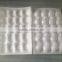white color lightweight PE strawberry foam tray