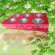 2015 for gardening project used hydroponic equipment full spectrum 600w led grow light cob