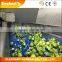 Vegetable Washing Line PVC Conveyor Belt