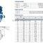 OEM Chinese manufacturers JIS DPS wafer lug double eccentric flanged butterfly valve