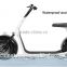 2 Wheels Wheel Electric 19 Inch Balance Scooter With Handle Seat