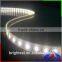 High lumen 12v SMD 5050 Dual White ( Pure white + warm white ) LED Strip Light