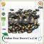 Website Online Selling Melon Seeds