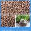 lightweight expanded clay aggregate for gardening
