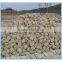 Yellow granite cobblestone driveway pavers for sale