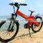 Seagull,cheap luxurious electric bike