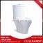 Wholesale Market Made In China Ceramic Luxury Toilet With Water Jet