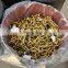 US Type G70 Transport Welded Chains ,NACM96 Standard Color Zinc Plated Lashing Chains,Heavy Duty Alloy Chains