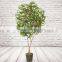 Artificial Orange Tree