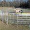 Factory supply high quality farm fence / field fence & cattle fence / horse farm
