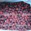 FD Dried fruits Frozen Dried FD Blackberry WHole Piece for sale