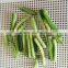 Vacuum Fried VF Dried Natural Sliced Green Turnip for sale