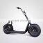 China supply new design 2 wheel fat tire bicycle electric motor electric scooter