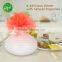 Ceramic bottle AP130ml Aroma flower Reed diffuser