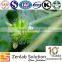 Tribulus Terrestris Extract Tribulus 100% Natural Sexual improvement