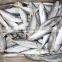 Frozen IQF 8-10pcs/kg Horse mackerel for sale