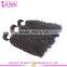 Big stock best services 100% virgin russian curly hair extension