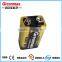 6LR61 9V Alkaline Battery with US PL 104-142 and MSDS