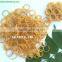 Supply small loom rubber bands - HOT cheap price small circular loom band glitter rubber band natural