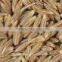 cumin seeds and fennel seeds in tamil