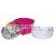 Transparent cover lock bento lunch box with divider