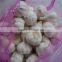 2016 Chinese high quality fresh garlic price Pure White Garlic alho fresh garlic