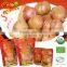 Vacuum packed roasted chestnuts snacks for sale