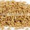 GMP Factory Supply Natural Oat Straw Extract 10:1