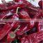  express shipping export dried red chilli from  china market