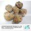 Export dried mushroom
