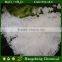 food grade magnesium chloride 7791-18-6
