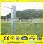 Hot dipped galvanized grassland post Professional Supplier
