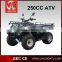 EEC approval ,cheap atv for sale , CVT four wheel bike