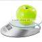 Electronic glass kitchen scale food digital apparatus