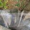 clear transparent PC plastic color corrugated plastic roofing sheets
