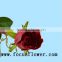 Supply roses flowers fresh cut white color rose flowers black magic rose with 0.8_1.2kg/bundle from yunnan