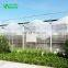 Factory Price Polycarbonate Greenhouse Plastic Film, Plastic Film For Greenhouse