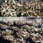 Stainless steel brass pipe fittings shot blasting machine surface treatment equipment automatic sandblasting machine