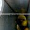 orange juicer parts