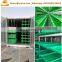 Hydroponic animal and cattle green fodder grow / growing system