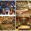 IPX5 Holiday Outdoor 100LED String Lights for Garland Lighting Christmas light