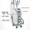 Medical CE Approved 5 Handles Double Chin Removal Vacuum Suction Fat Freeze Slimming Machine