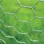 Hexagonal Wire Mesh     hexagonal mesh     hexagonal gabion box     chicken egg layer cages