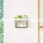 Modern Flower Bud Vase Wall Hanging Glass wood Planter Plant