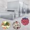 1000kg frozen fruit vegetable processing line price/iqf freezer vegetables line