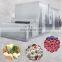 1000kg frozen fruit vegetable processing line price IQF freezer vegetables line