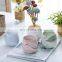 Wholesale Plant Nordic  Flower & Planters Pot Succulent Planter Unique Decor Small Decorative Ceramic Pots For Indoor Plants